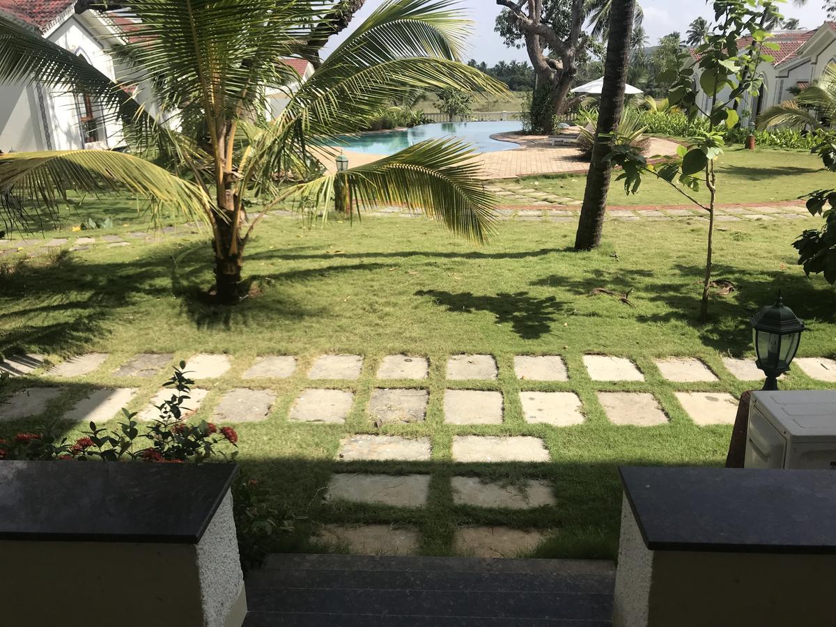 Studio And One Bedroom Apartment In Riviera Sapphire, Siolim Exterior photo